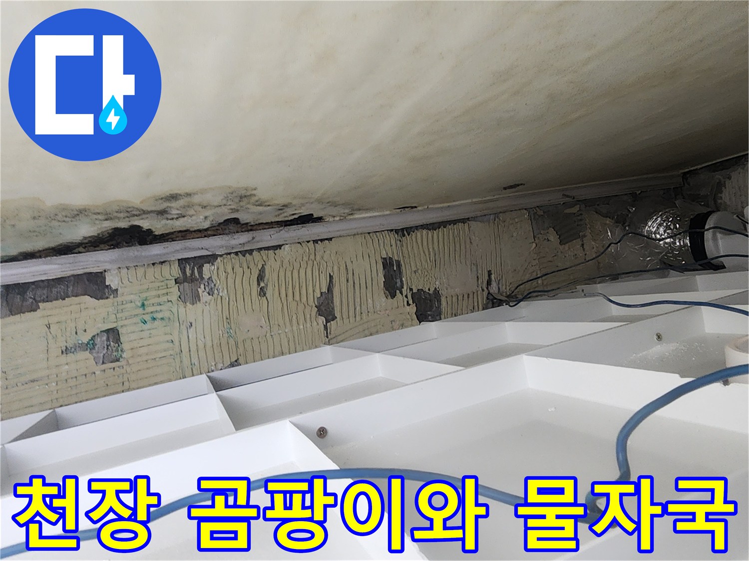 아파트-화장실-천장-누수-흔적-및-곰팡이-발생-상태