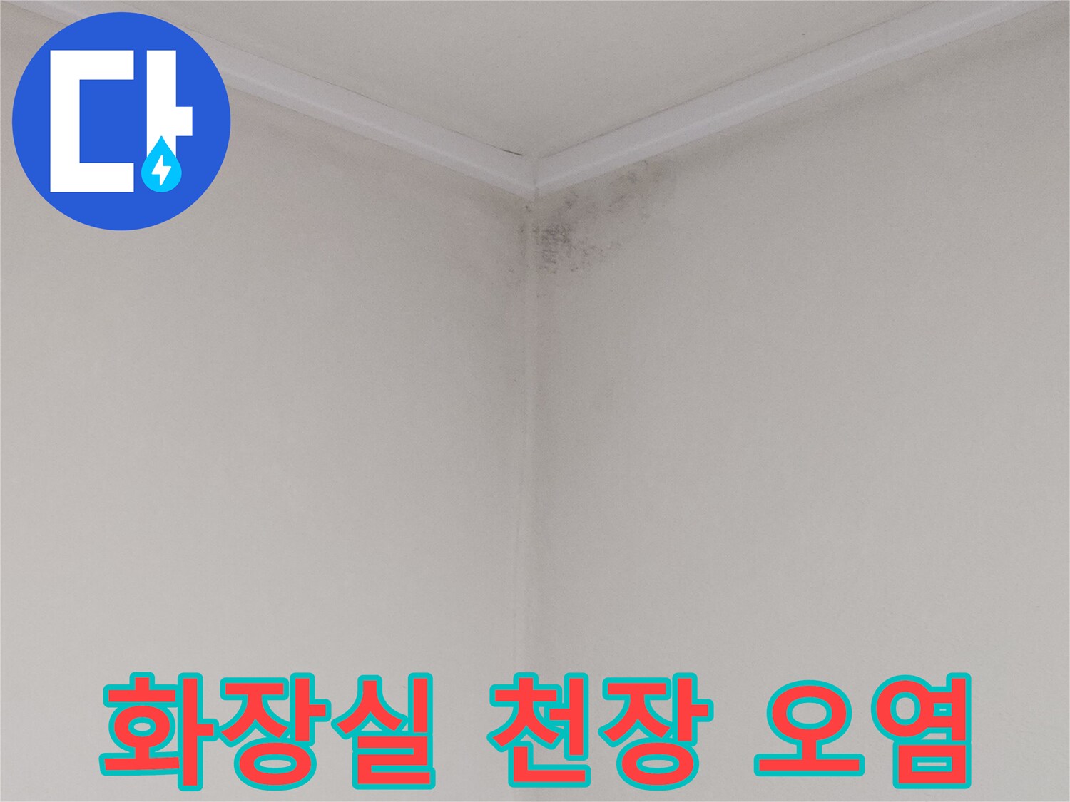 천장 모서리 부분의 젖은 얼룩과 곰팡이 흔적