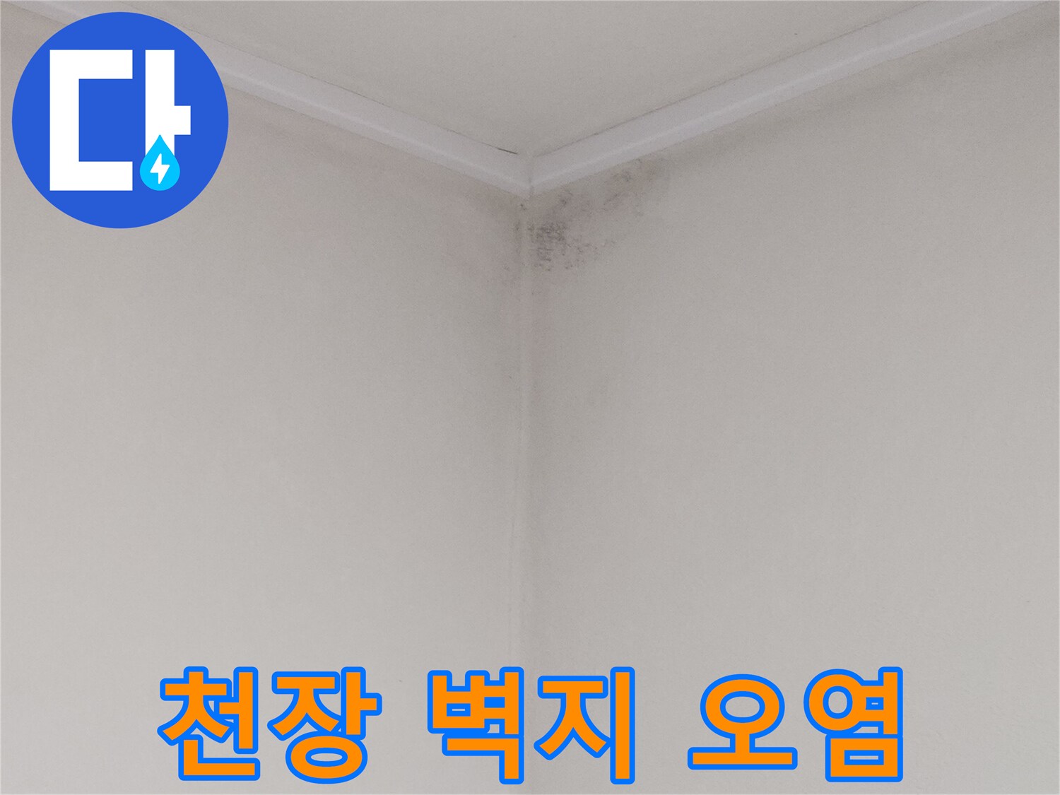 화장실 천장 모서리 부근의 젖은 벽지와 곰팡이 상태
