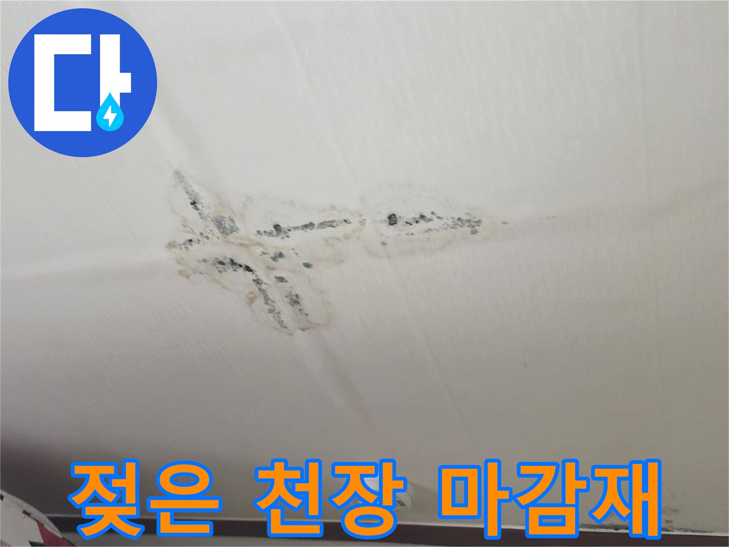 물샘으로 인해 변색된 천장 석고보드와 곰팡이 부위