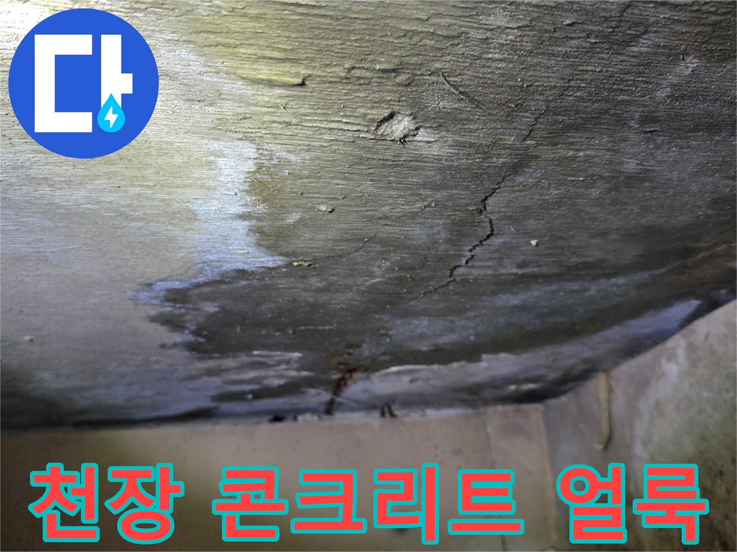 습기로 인해 변색되고 젖은 상태의 천장 콘크리트 면