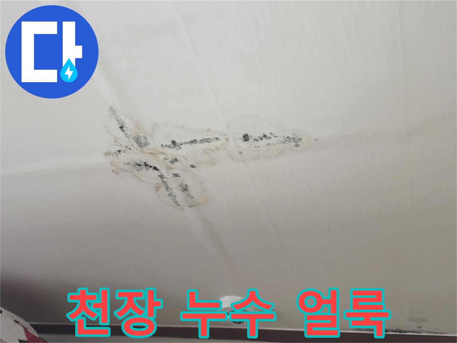 천장-표면에-발생한-누수-흔적과-곰팡이-오염-부위