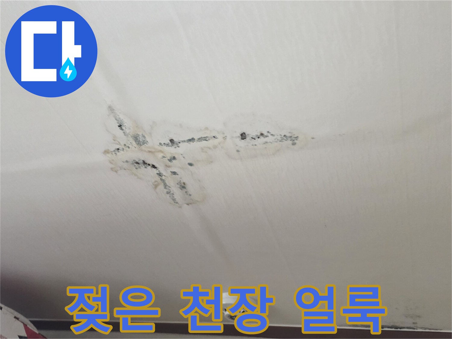 천장에 나타난-심각한 누수 흔적과 곰팡이