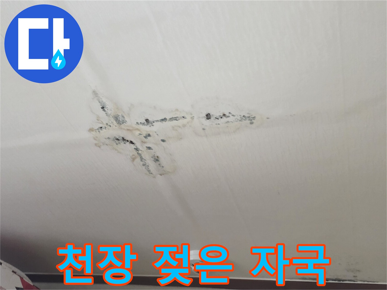 천장에 번져있는-물자국과 곰팡이 피해 부위