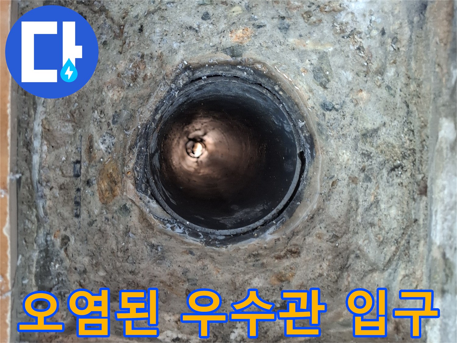 배수관-입구-주변의-이물질과-방수층-상태
