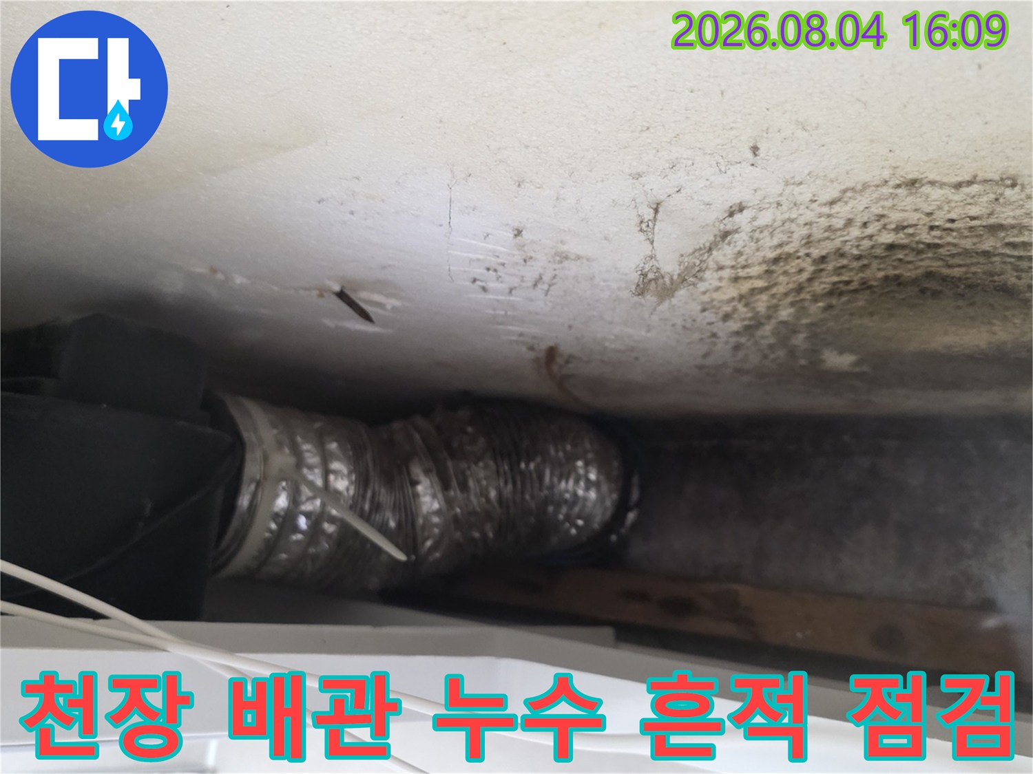 곰팡이가 발생한 천장과 노출된 낡은 배관을 확인하는 현장 모습
