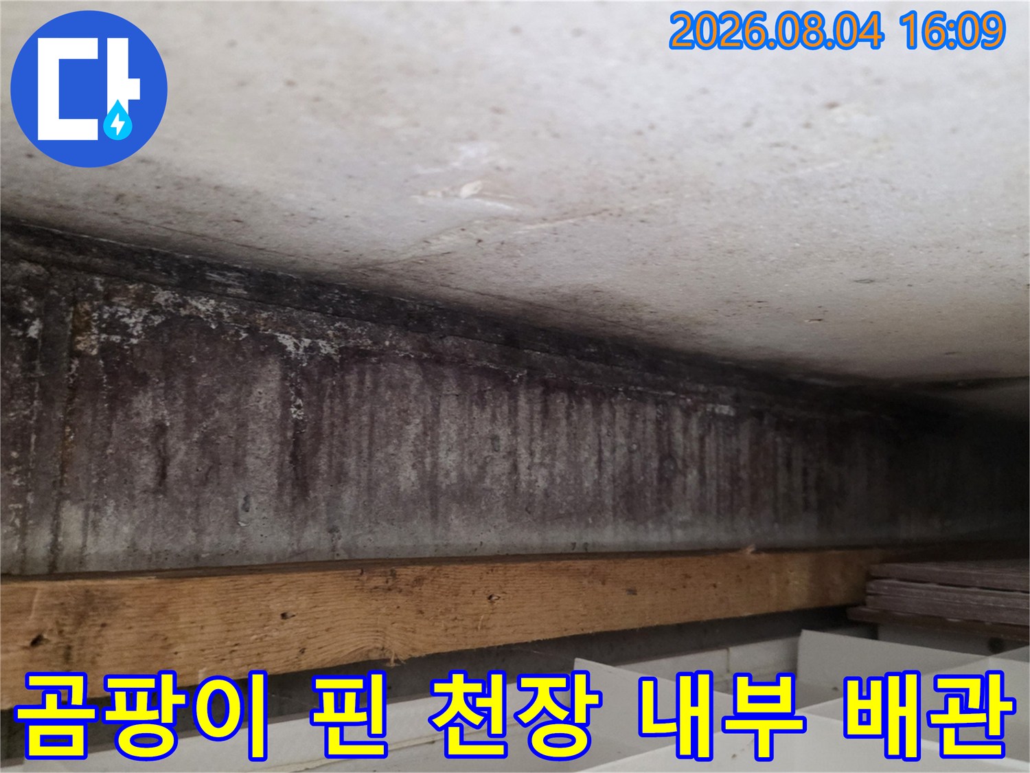 오염된 천장 콘크리트와 노출된 목재 구조물 및 배관 부위