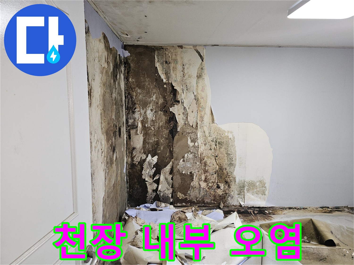 누수가-진행된-화장실-천장-벽면의-오염-상태