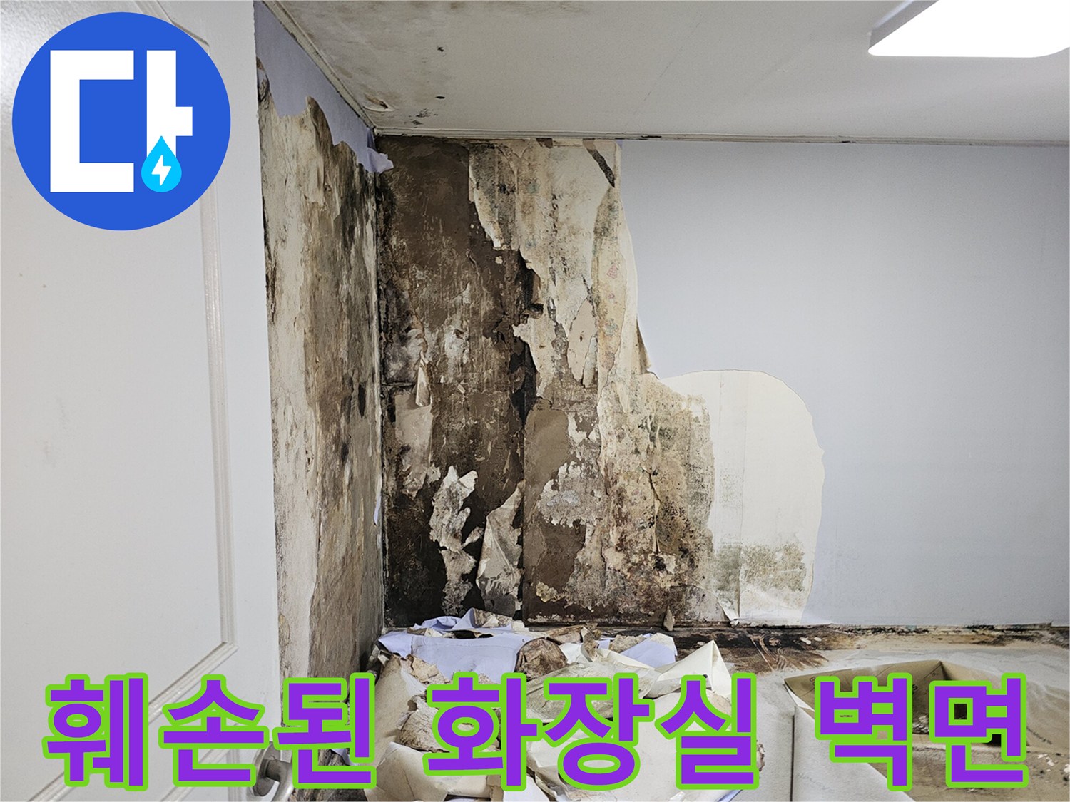 물샘 흔적으로 인해 곰팡이가 발생한 천장 내부 벽체
