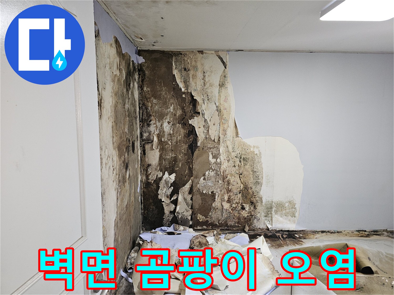 오랫동안 물에 젖어 곰팡이가 번진 화장실 벽면