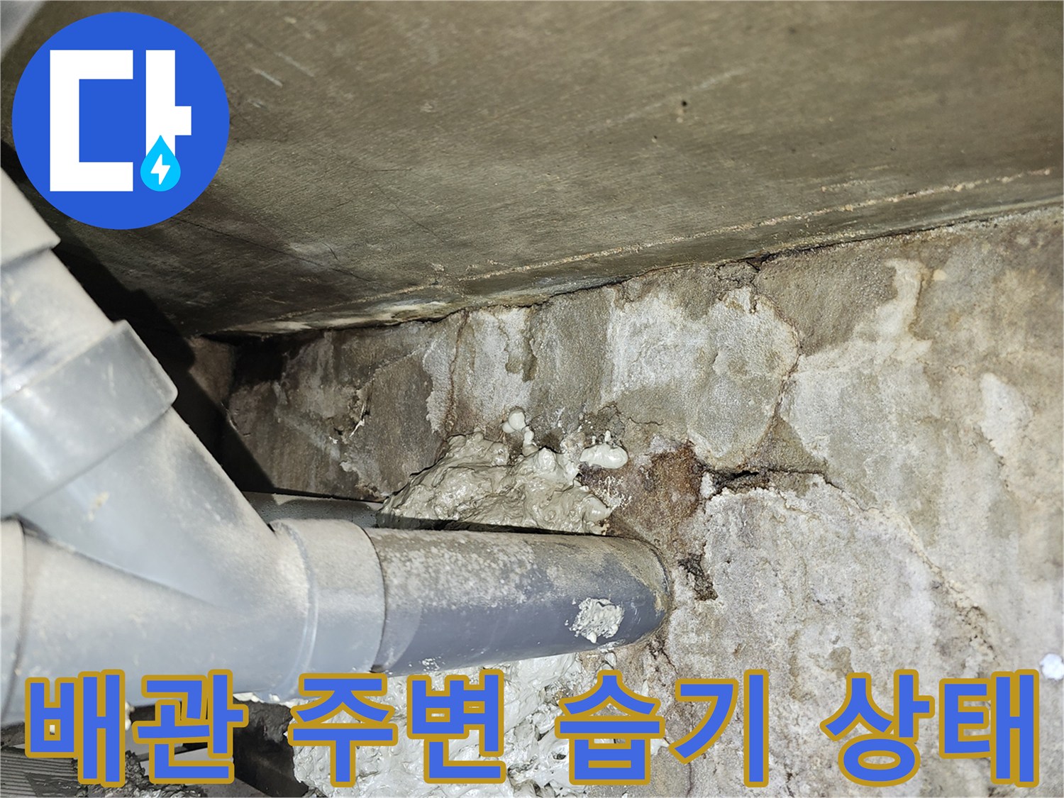 화장실-천장-하수관-주변의-습기와-오염-상태