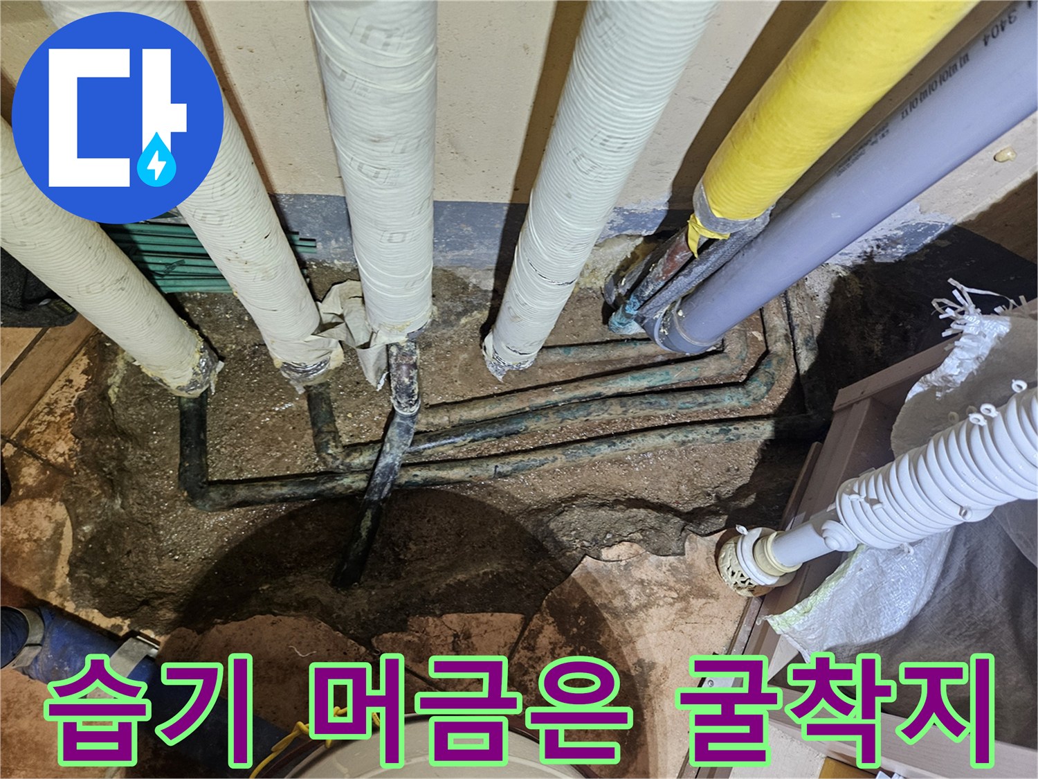 배관-주변의-축축한-토양과-노출된-배관들