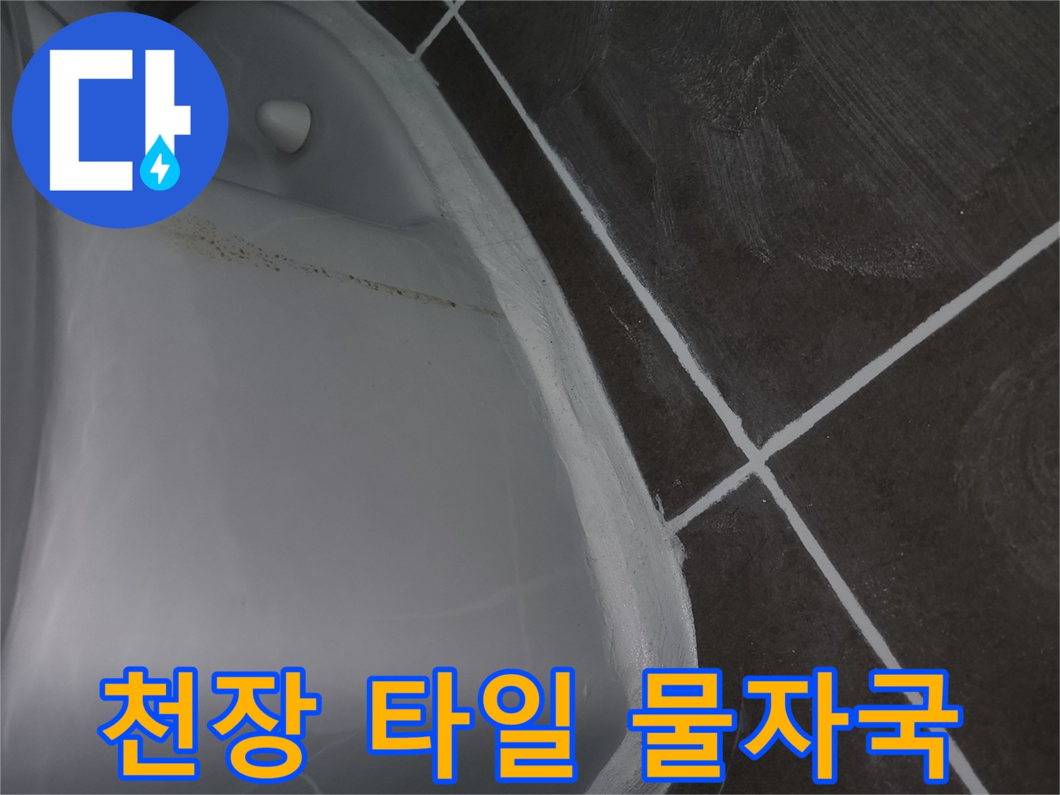 화장실-천장-타일-사이의-오염된-물자국-상태