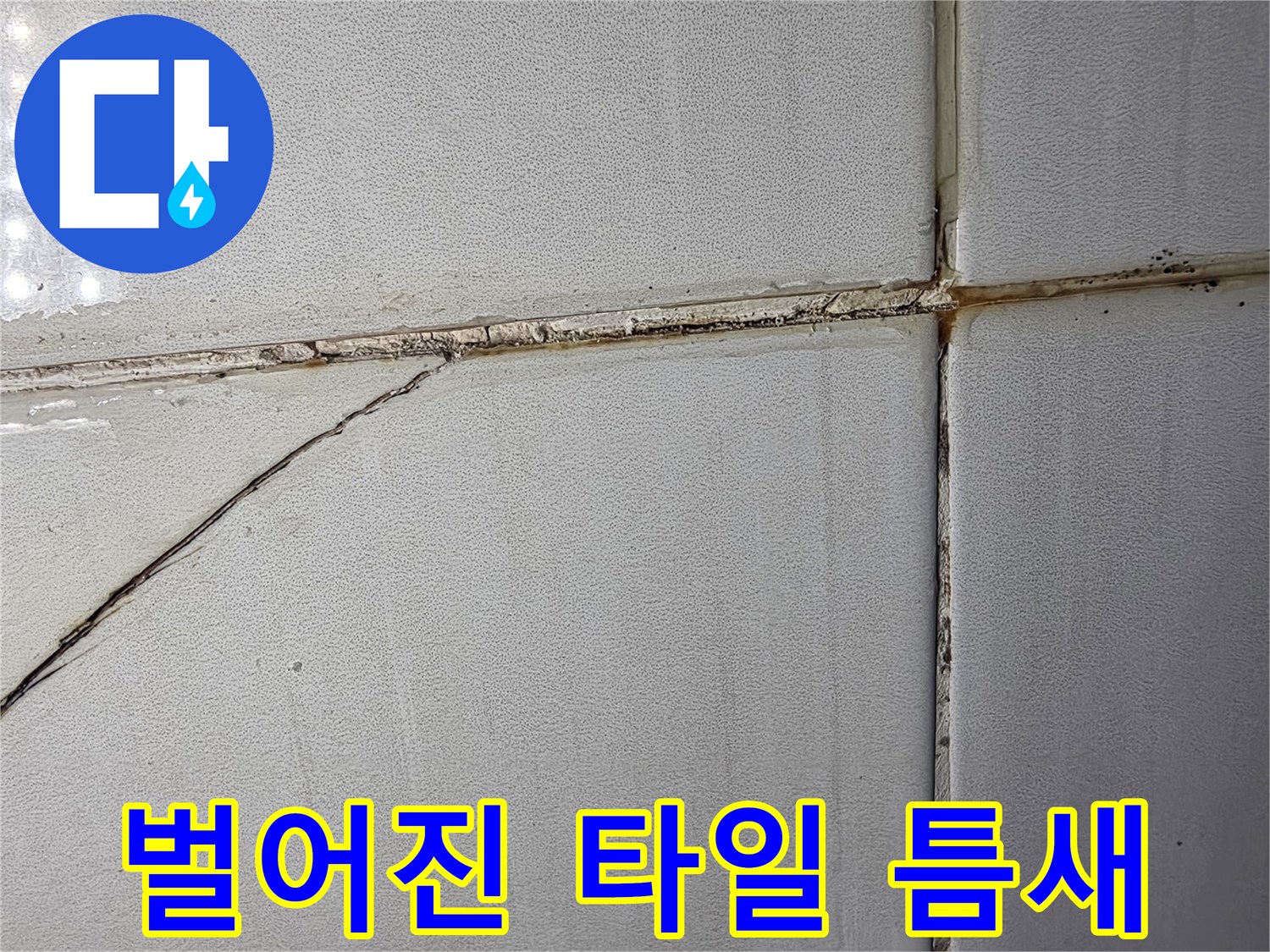 누수가-진행되는-타일-접합부-사진