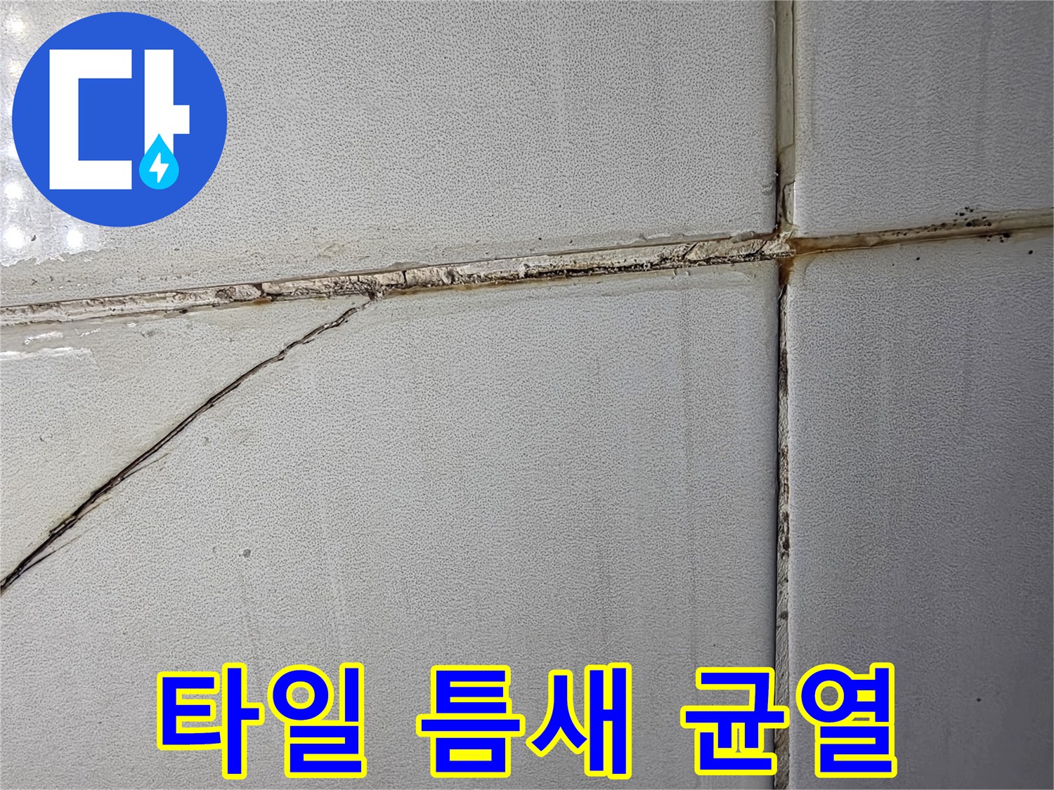 화장실-타일-사이의-균열과-오염된-줄눈-상태