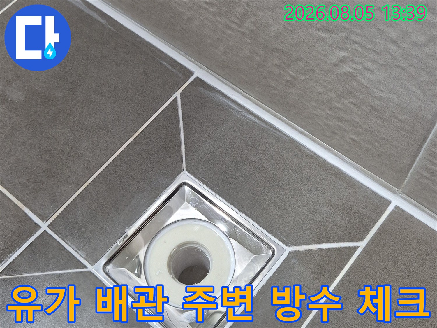 화장실 바닥 배수구를 중심으로 한 누수 경로 차단 점검 현장
