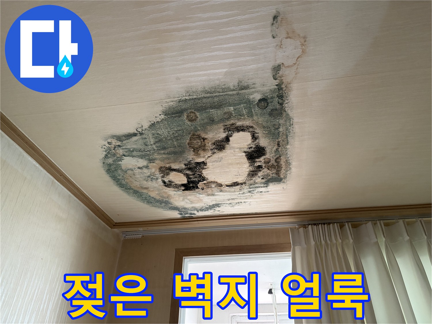 물샘으로 인해 젖고 변색된 천장 벽지 사진