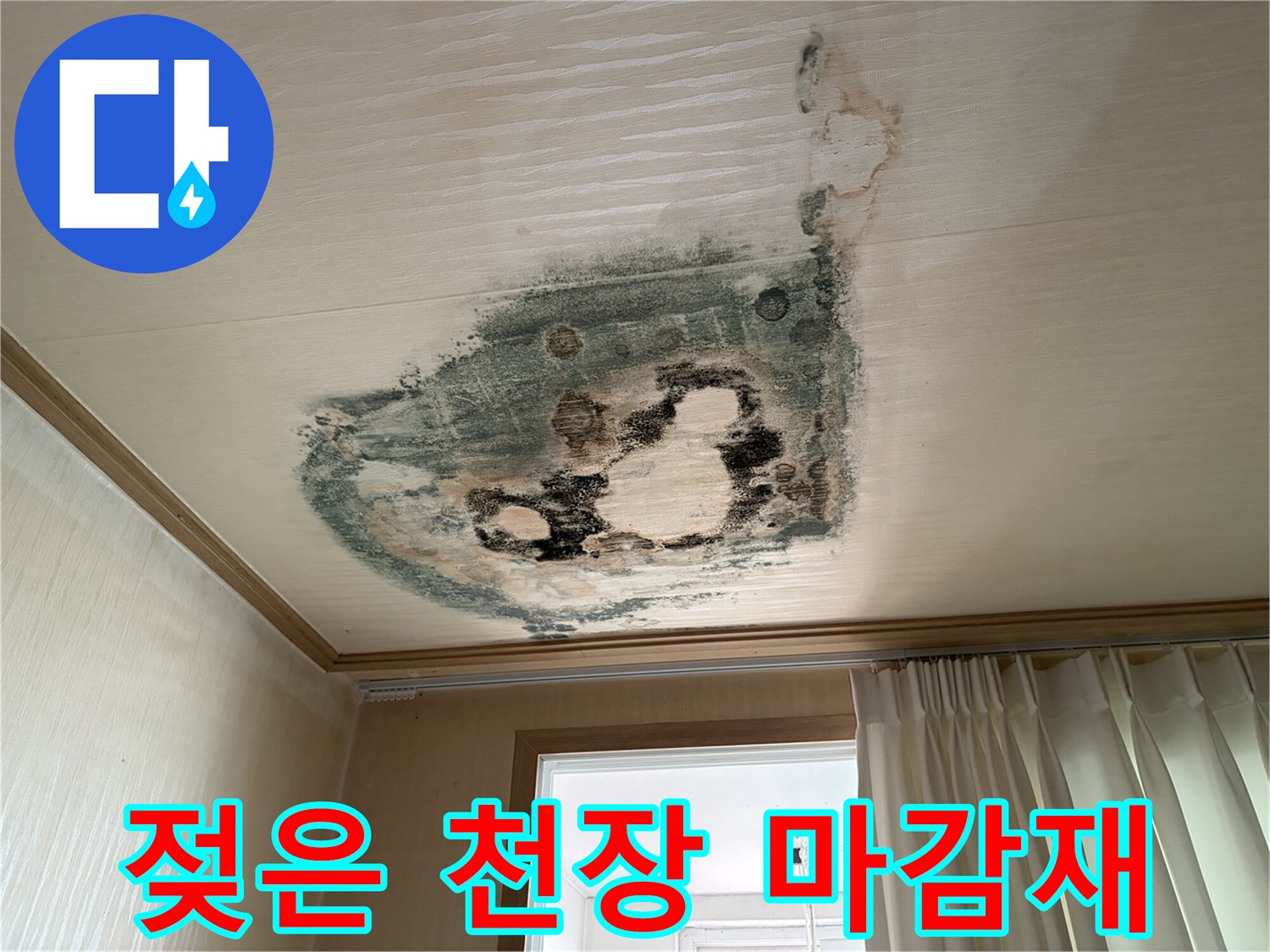 심한 곰팡이가 발생한 천장 벽지 부분