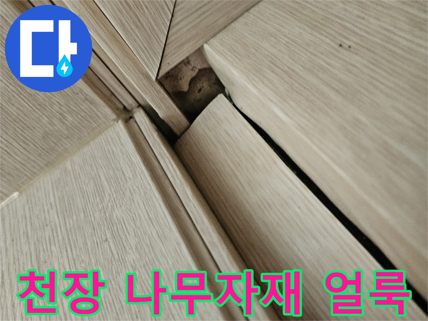 천장 마감재 사이로 보이는 물샘 흔적과 어두운 얼룩 상태