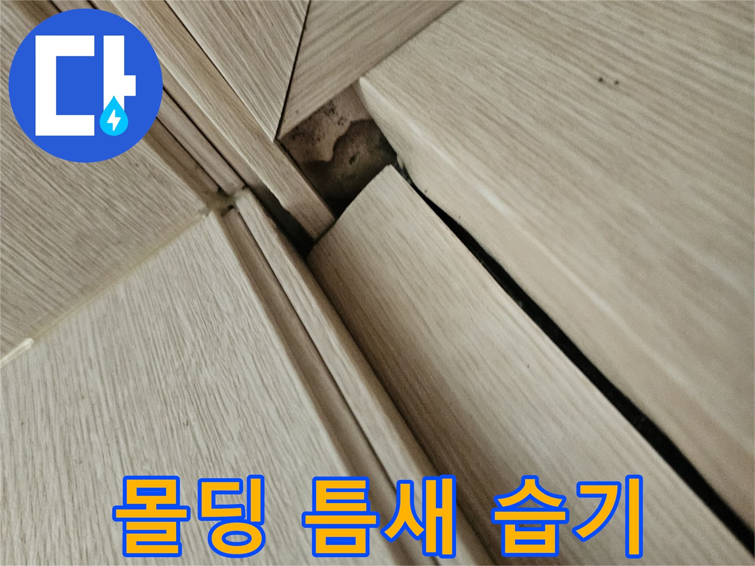 천장 몰딩 틈새에 스며든 습기와 얼룩 상태