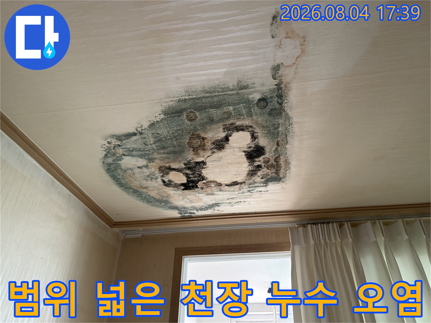 천장에 발생한 광범위한 누수 흔적과 곰팡이 오염 부위