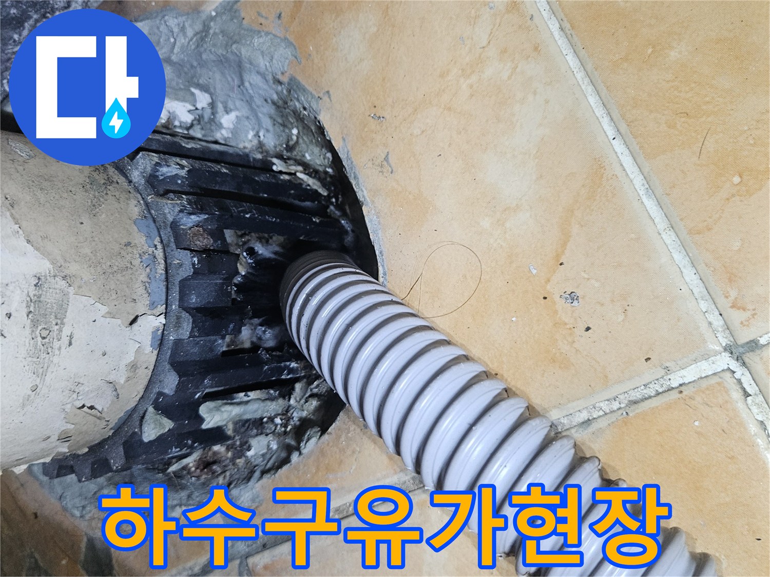 성북구-돈암동-아파트-세탁실-배수구-누수-부위-사진