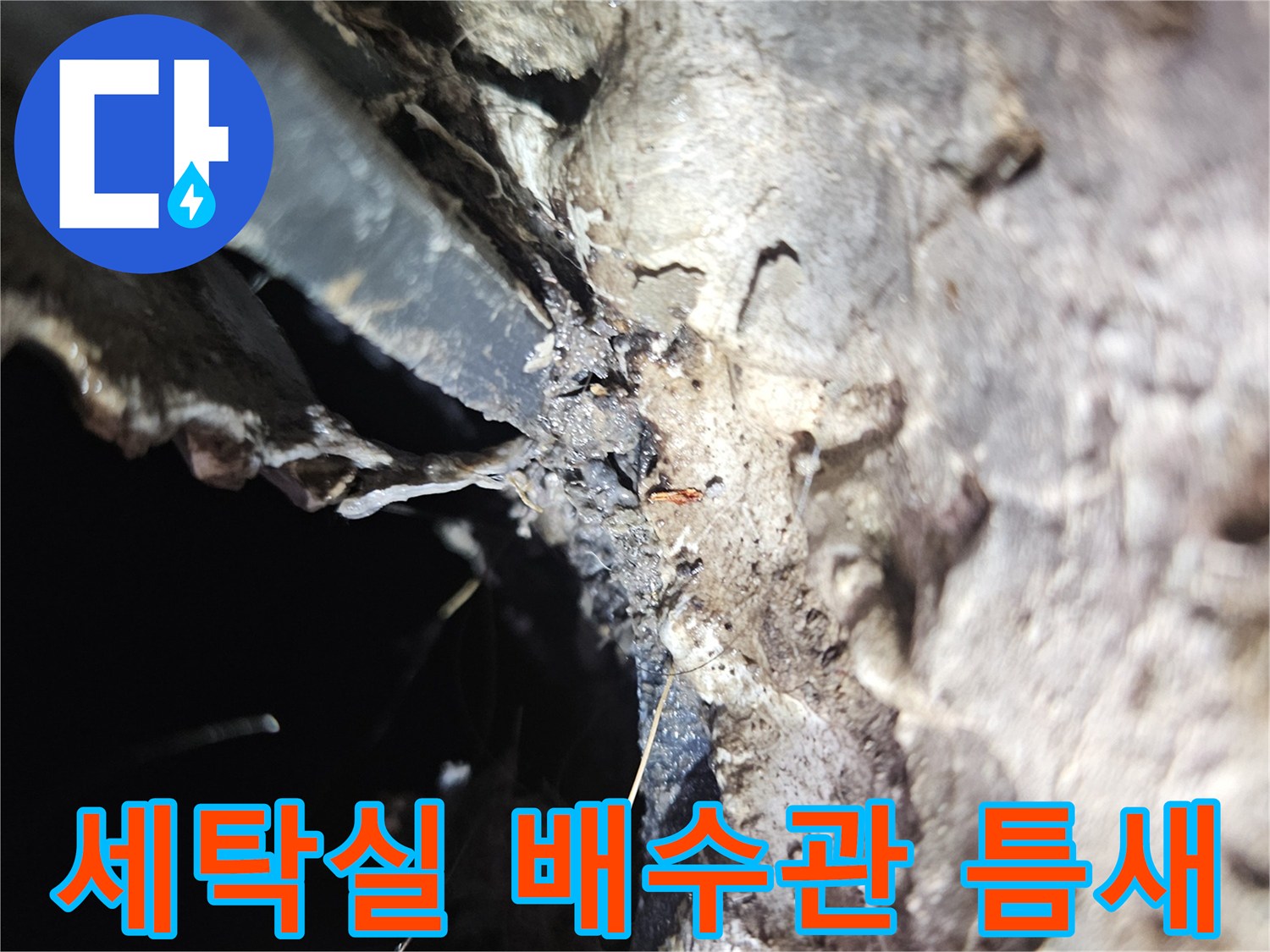 성북구-돈암동-아파트-세탁실-배수구-주변-누수-지점-확인