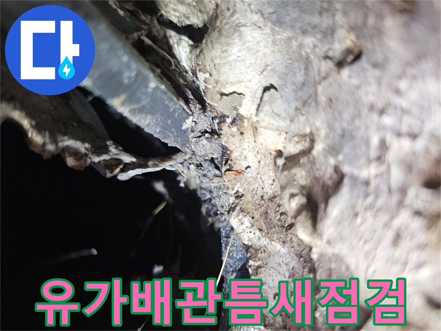 세탁기-배수-호스-와-하수구-사이의-습윤한-상태
