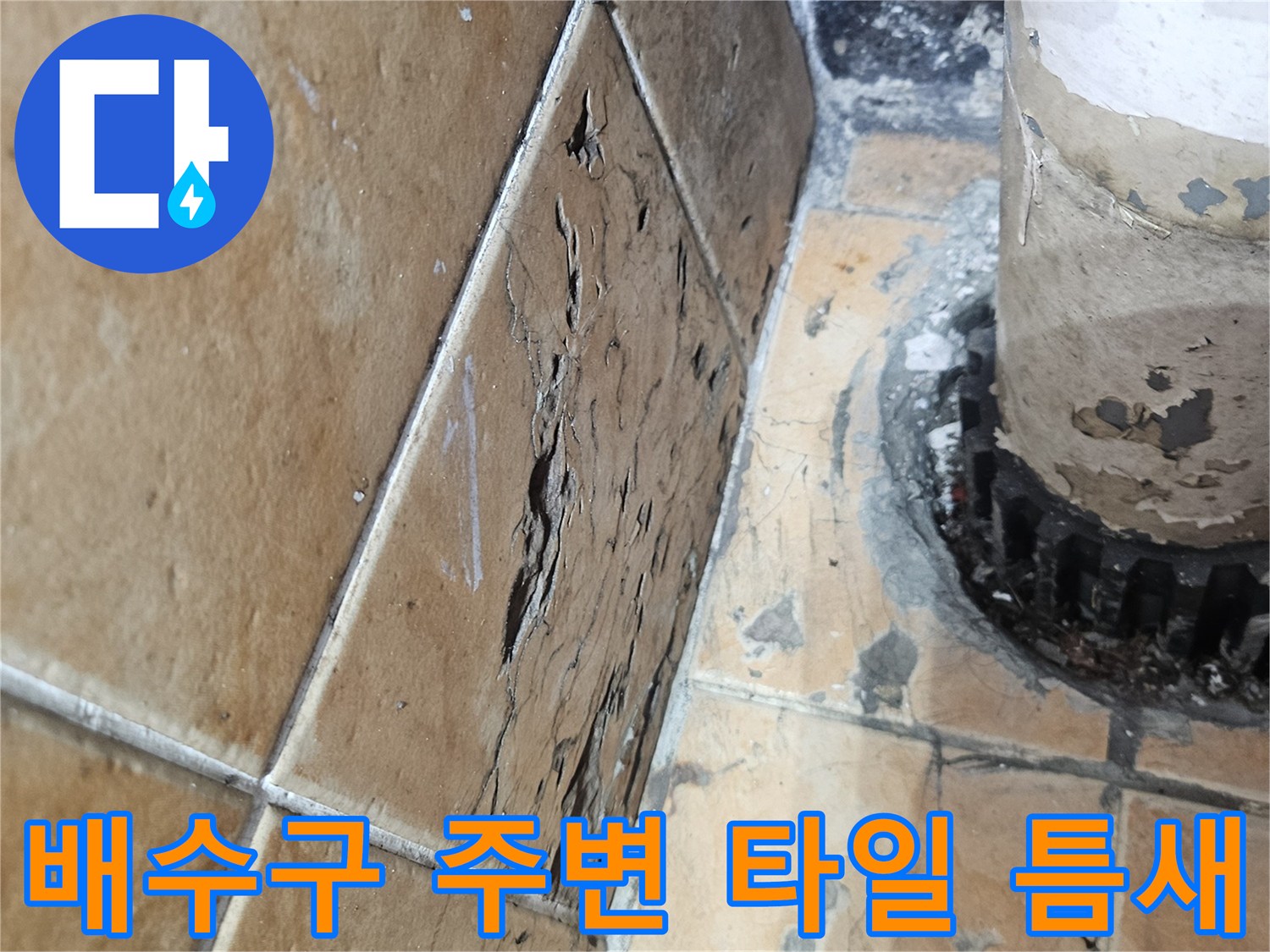 세탁실-배수구-주변-타일-틈새와-습기-확인
