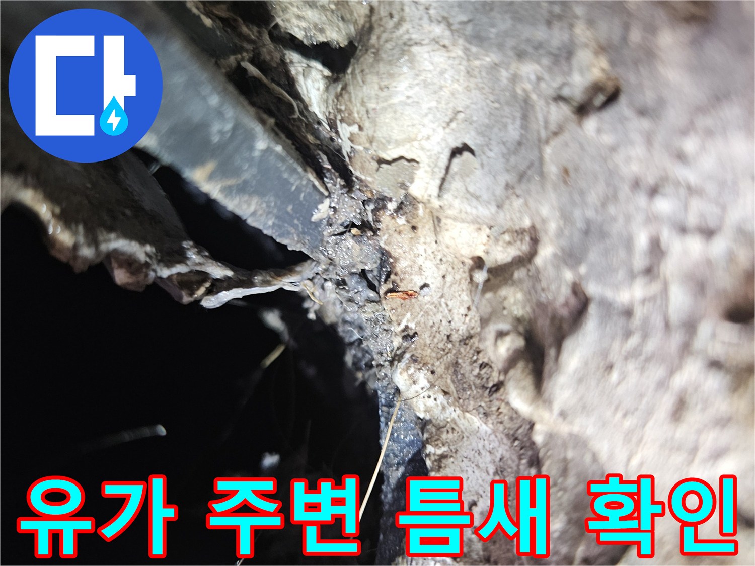 세탁실-배수구-틈새를-통한-물스며듦-현상-확인