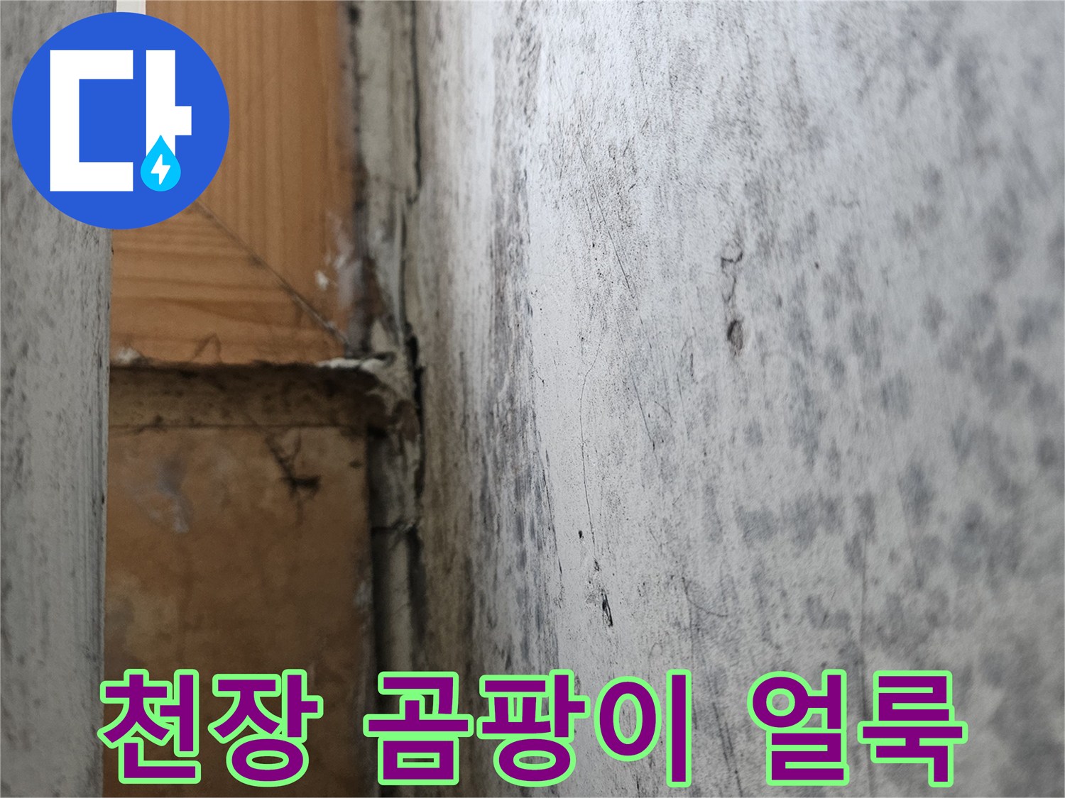 아파트-세탁실-천장-습기-및-변색-상태
