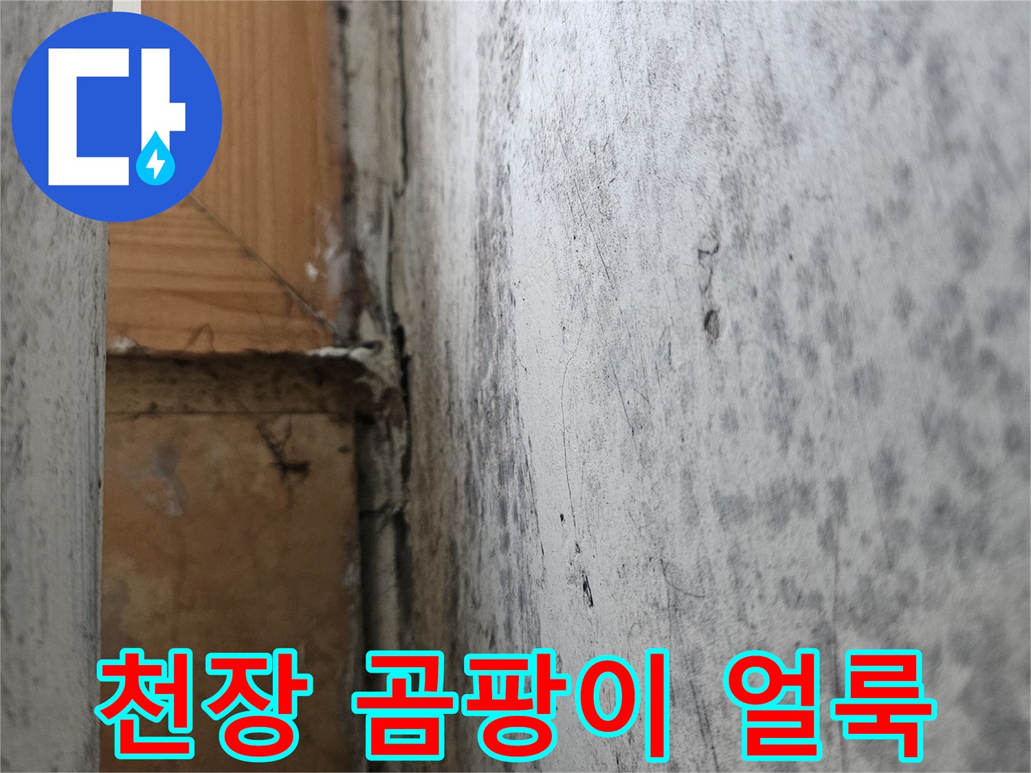 아파트 천장 마감재-물샘으로 인해 발생한 넓은 범위의 곰팡이