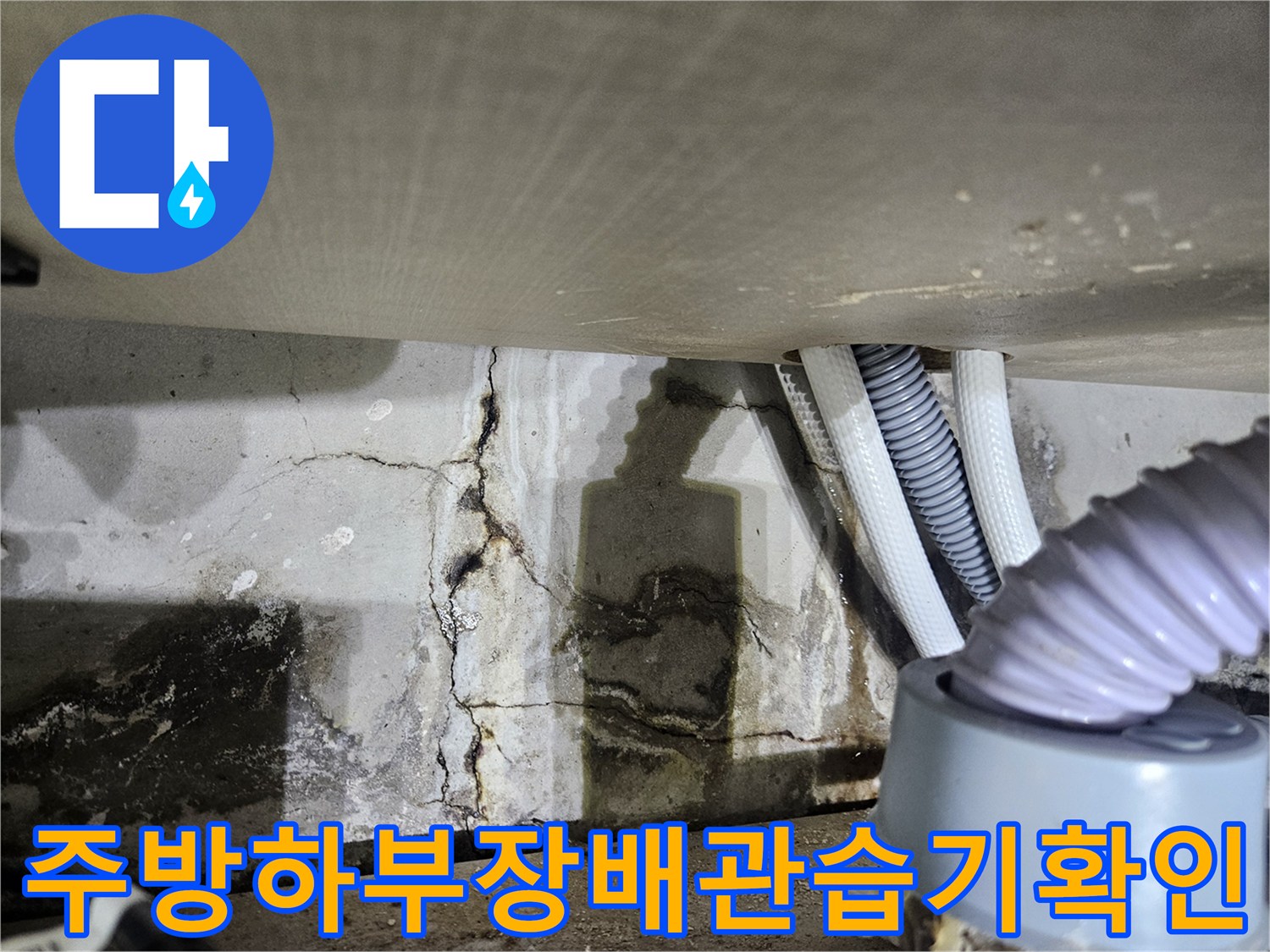 싱크대-하부-벽면의-검은색-곰팡이와-물자국
