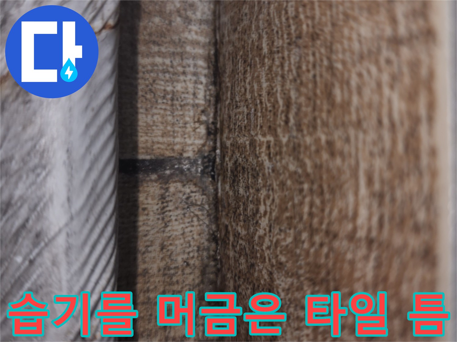 물때와-함께-노후된-타일-줄눈-부위