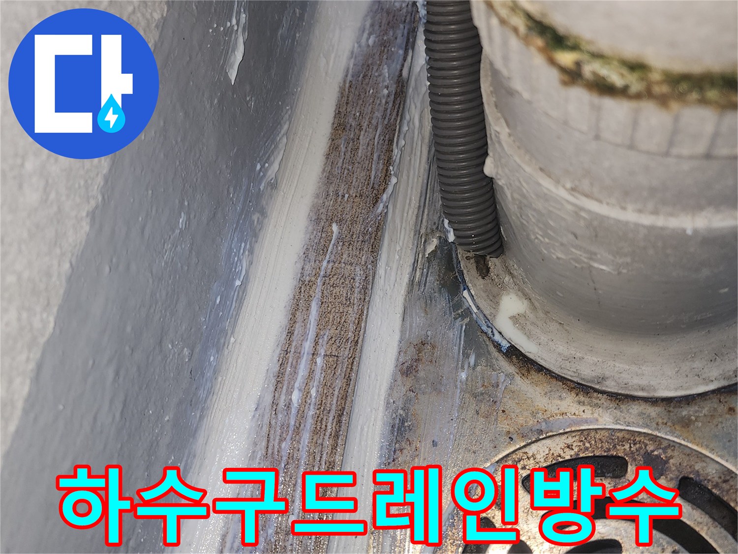 배관-및-배수구-주변-틈새-확인