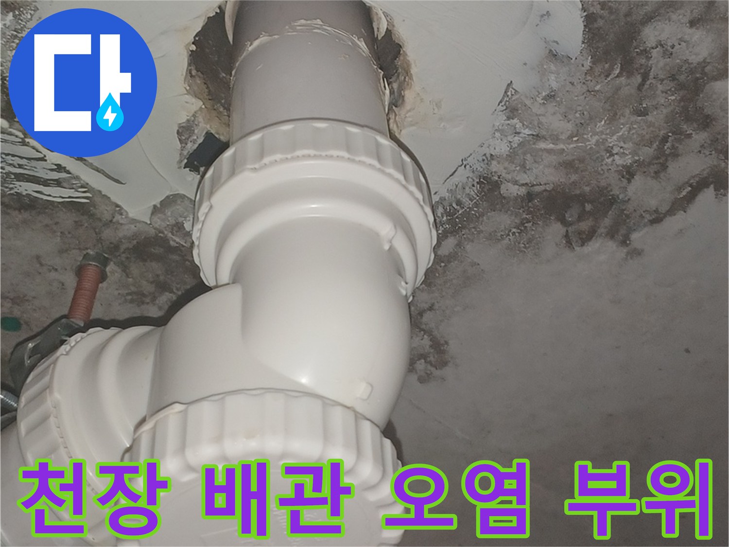 배관-연결부-및-벽면의-곰팡이와-물자국-발생