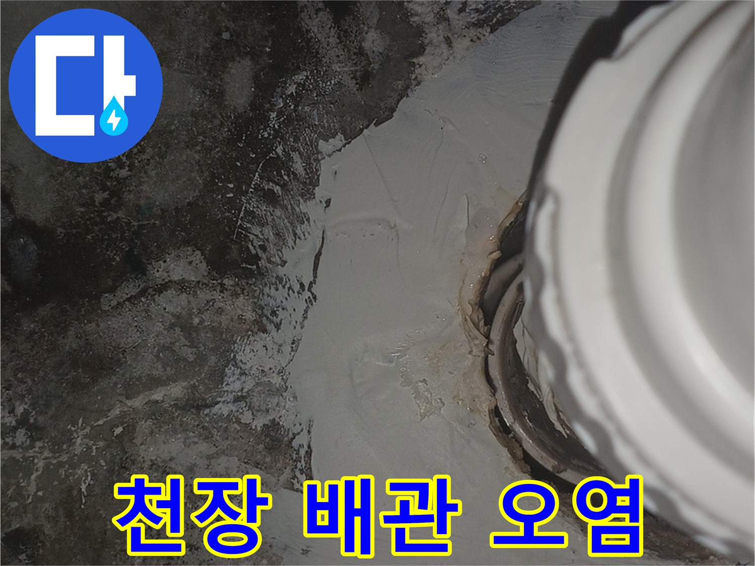 배관-주변의-심한-곰팡이와-물자국-발생-모습