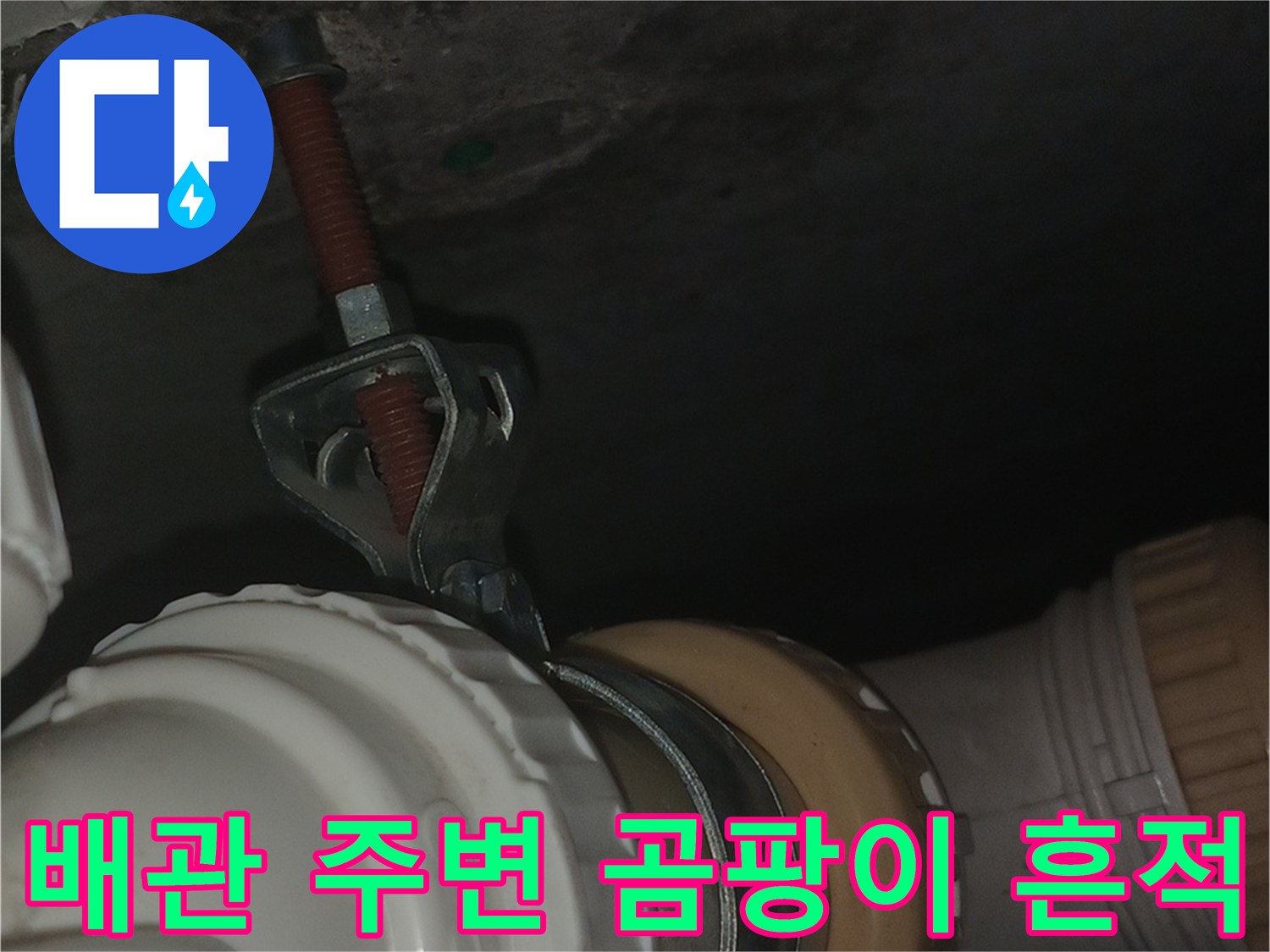 화장실-배관-주변의-심한-곰팡이와-오염된-슬래브-상태