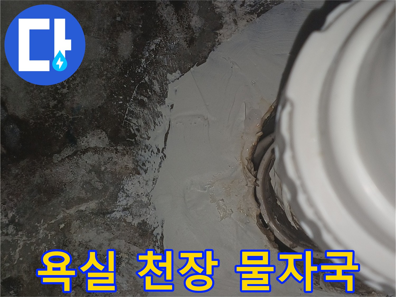 화장실 천장 슬래브에 발생한 곰팡이와 습기 흔적