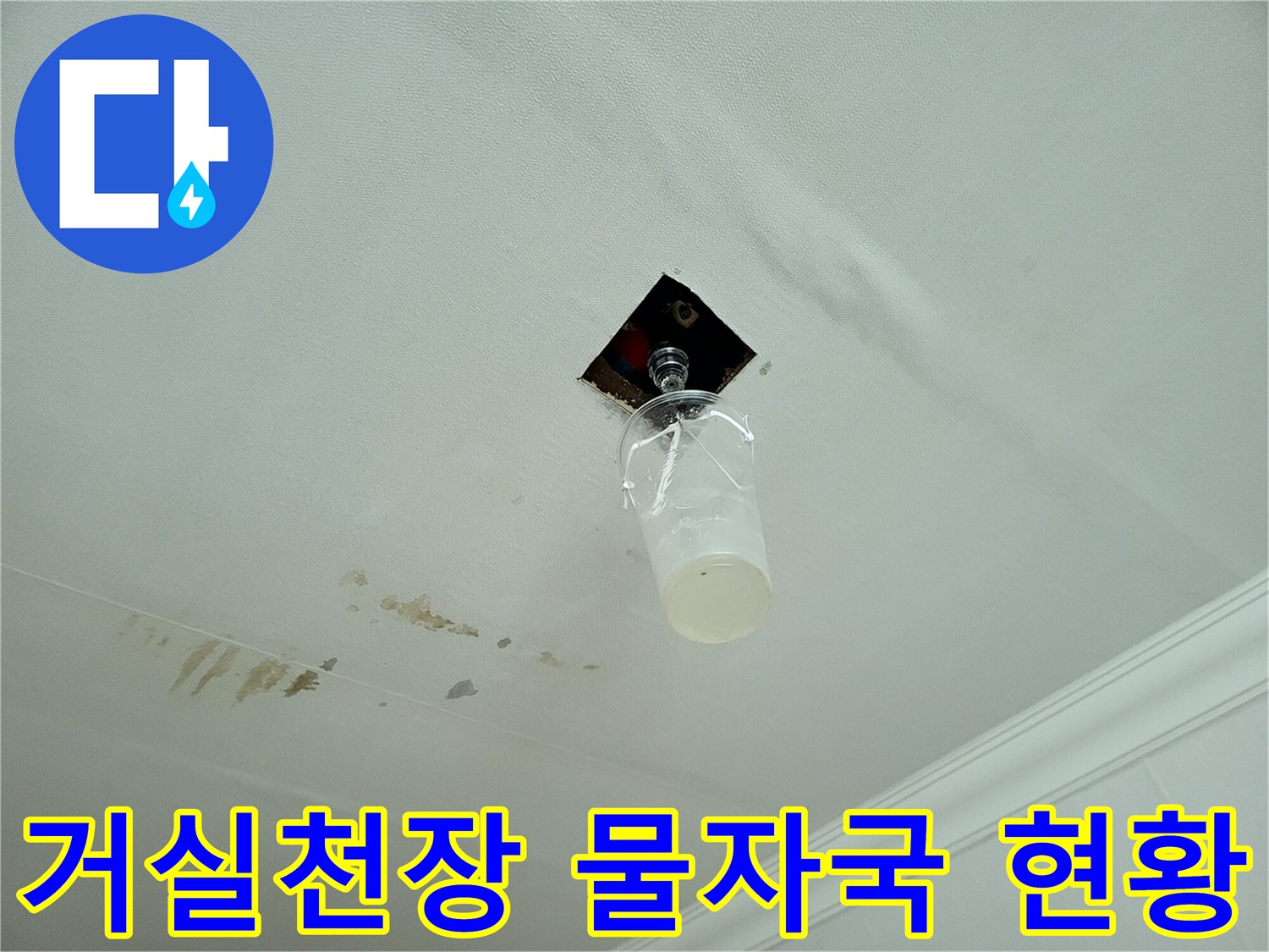 분당 거실 천장에 나타난 누수 얼룩과 젖은 흔적