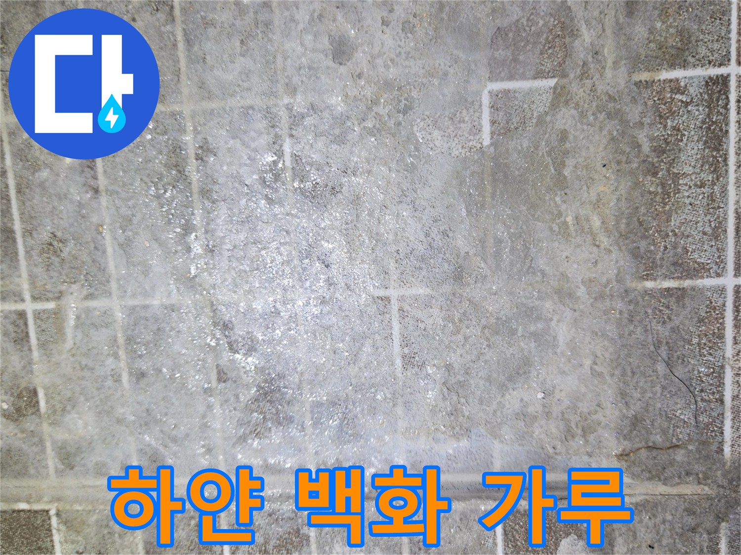 타일 틈새에 하얗게 굳은 석회 성분