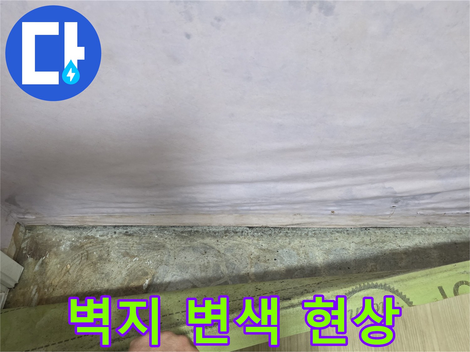 광진구 구의동 현장의 벽지 곰팡이 및 변색 상태 - 누수 피해 부위