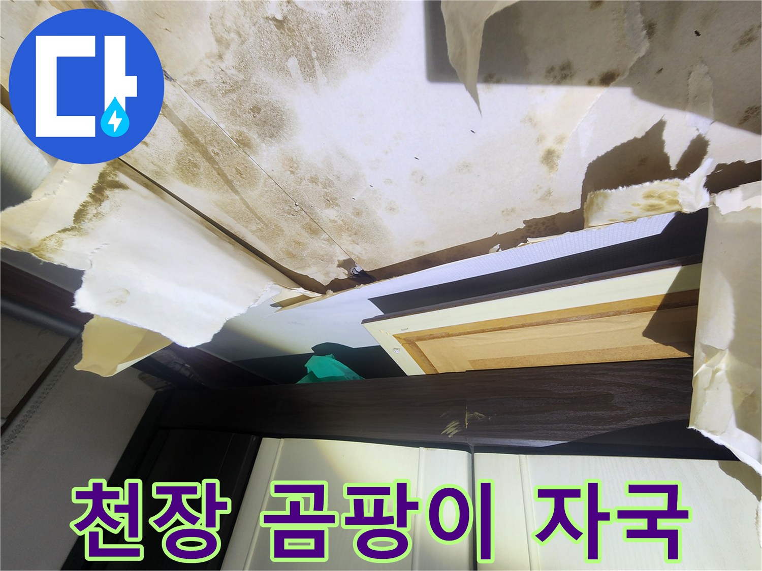 누수 피해 현장-천장에 발생한 심한 곰팡이와 얼룩
