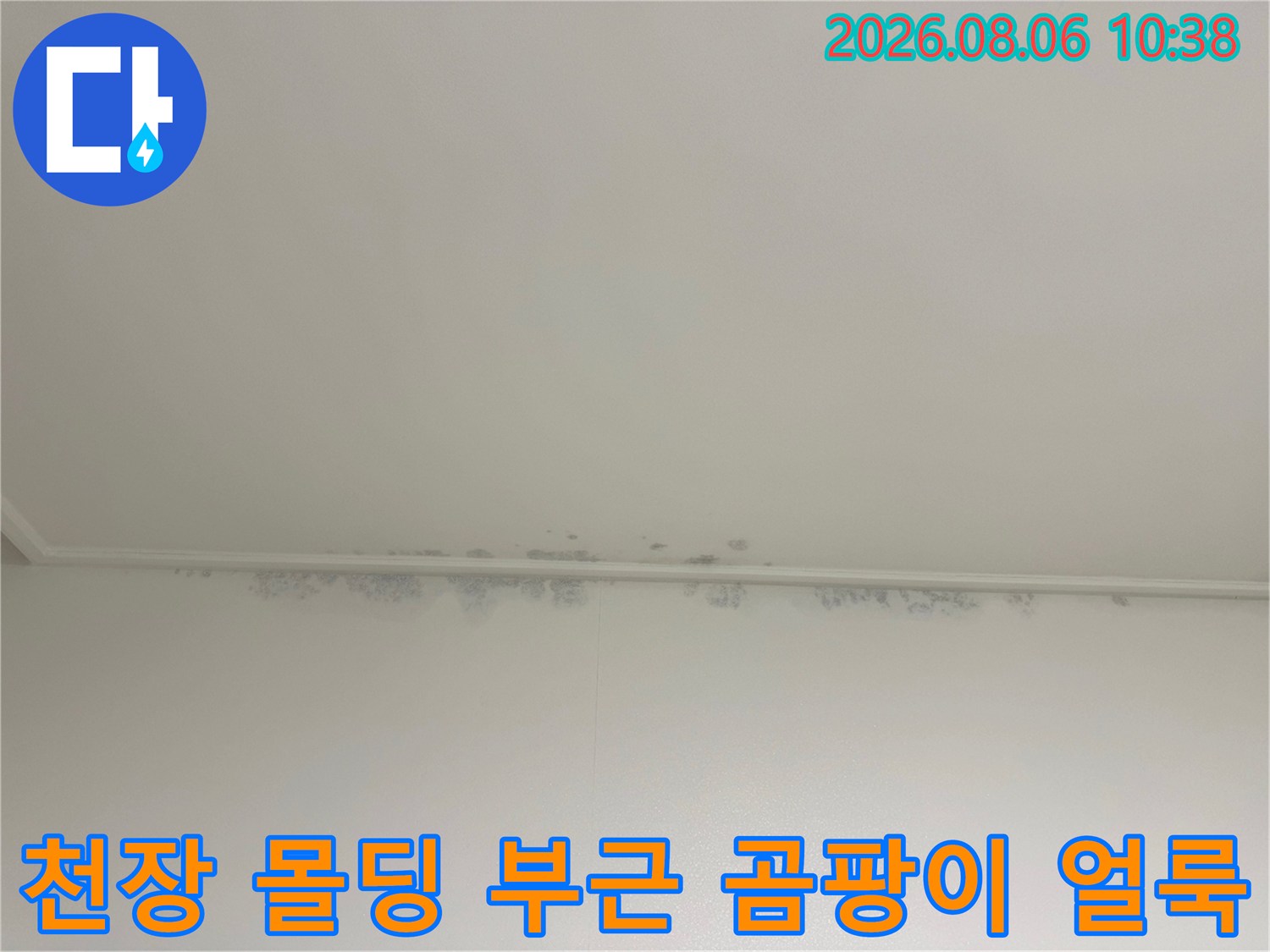 아파트-천장-몰딩-경계면에-검게-번진-곰팡이와-물자국-사진