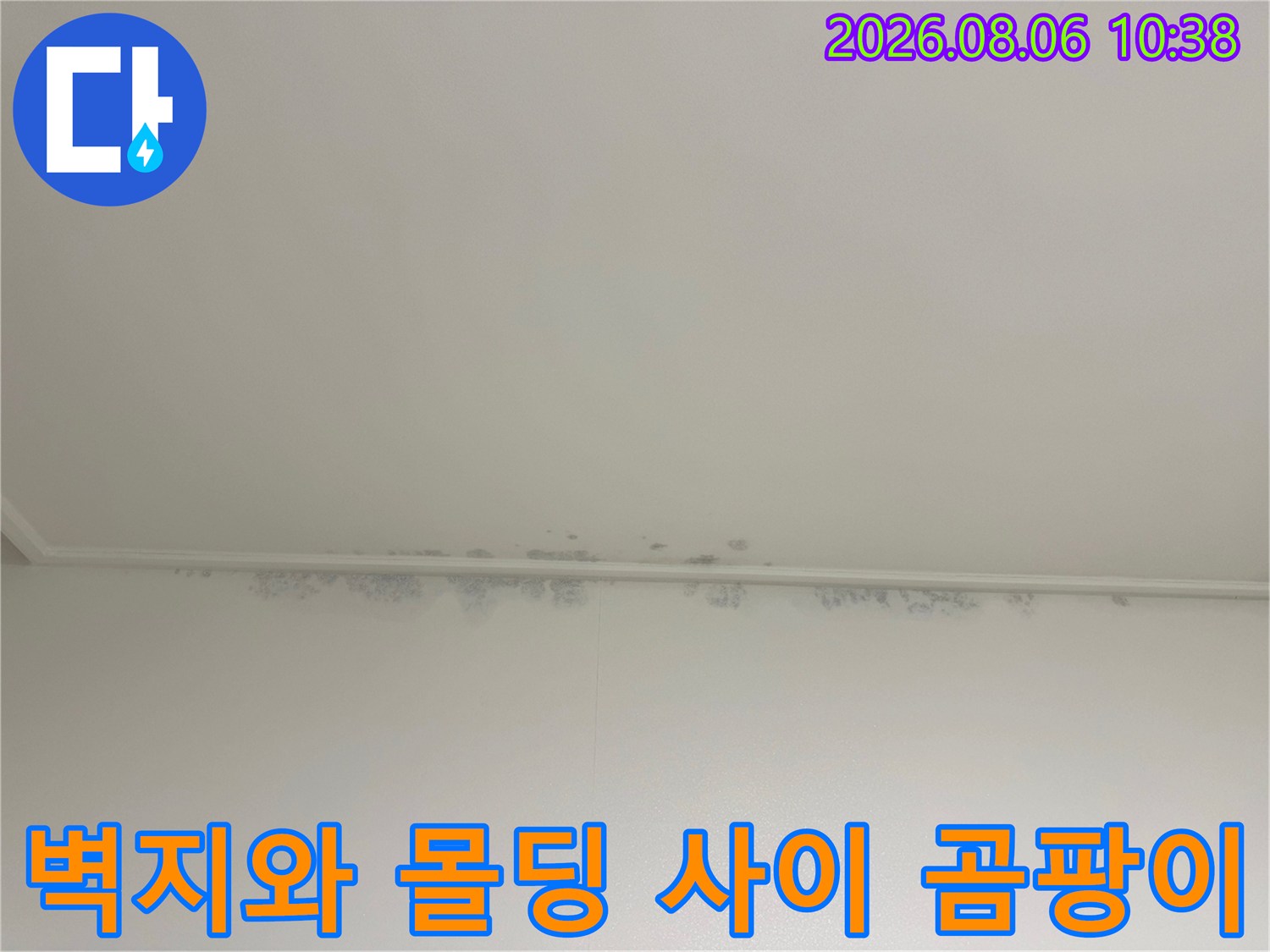 천장-가장자리-몰딩-접합부의-거뭇한-곰팡이와-습기-자국