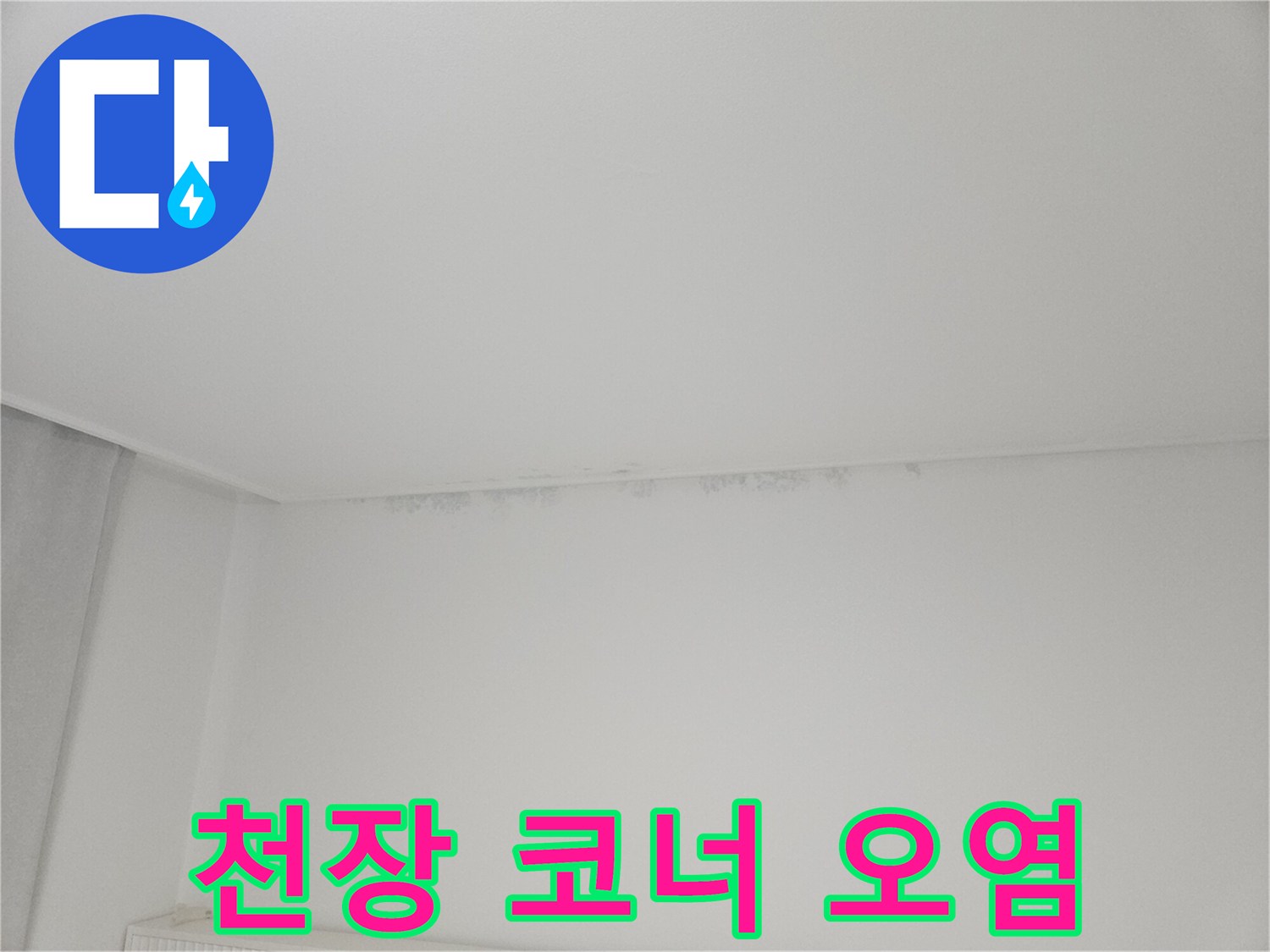 천장-과-벽면-사이의-젖은-흔적과-오염