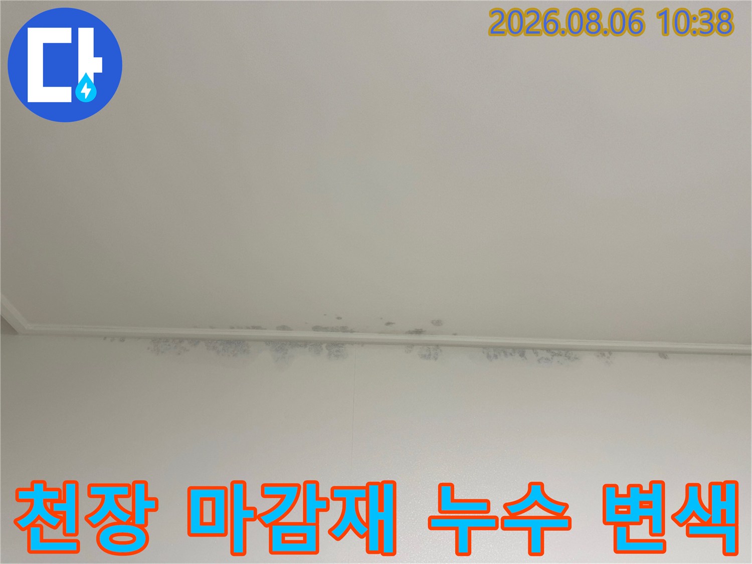 흰색 천장의 가장자리 몰딩 부분에 발생한 어두운 회색의 물 얼룩과 곰팡이