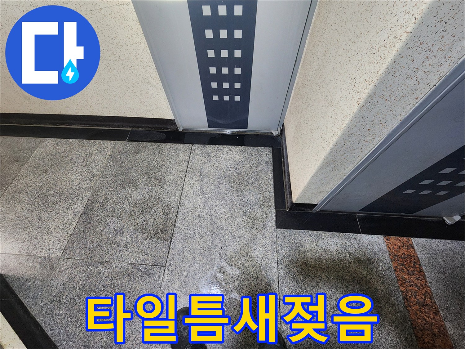욕실 타일 틈새에 스며든 습기 현상