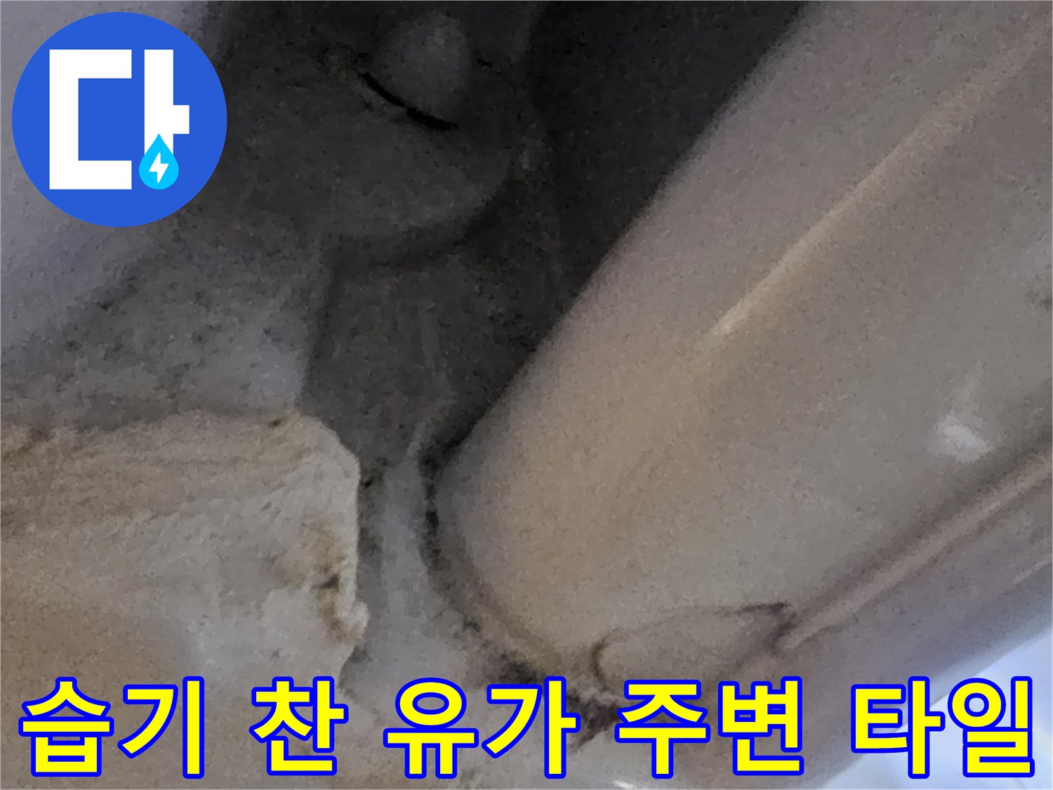 축축하게-젖어있는-유가-및-배관-경계