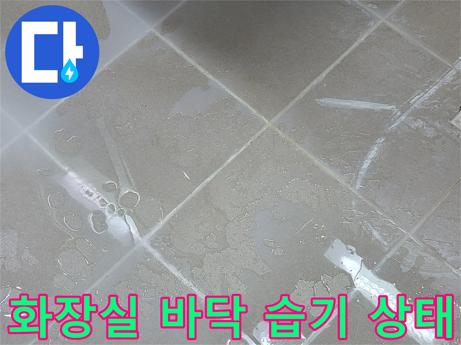 시흥 조남동 화장실-타일 사이 물 고임 현상